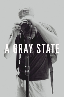 A Gray State - 2017