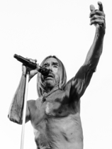 Find more info about Iggy Pop 