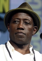 Find more info about Wesley Snipes