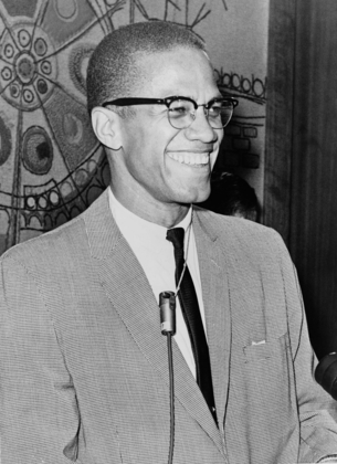 Find more info about Malcolm X