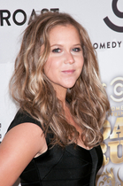 Find more info about Amy Schumer 