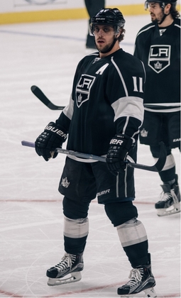 Find more info about Anže Kopitar