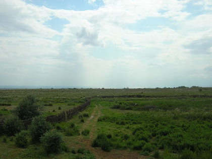 Казахская степь 