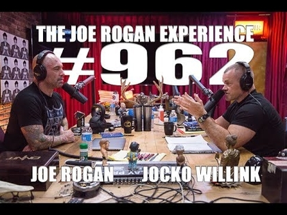 Joe Rogan Experience #962 - Jocko Willink
