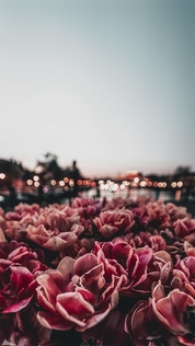 Книги от Маргарита Ю