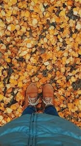 Книги от Анна Д