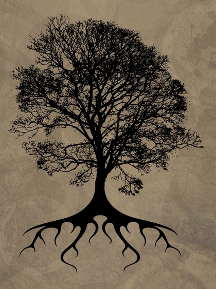 Книги от Anton 