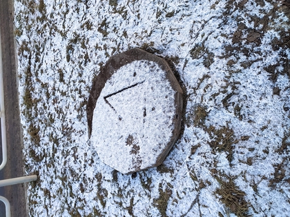 Книги от Рыба Египетская