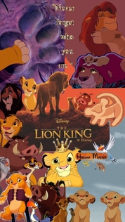 Фильмы от Valeria Lee