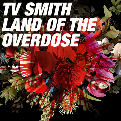 Land of the Overdose