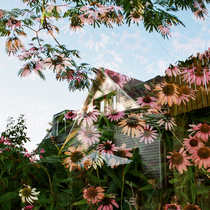 Музика від buka 