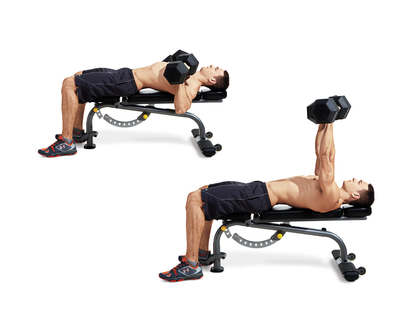 Dumbbell Bench Press 