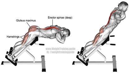 Hyperextension