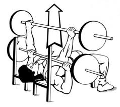 Flat Bench Press Exercise