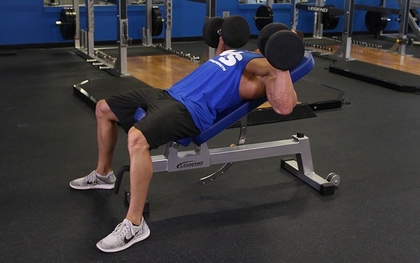 Incline Dumbbell Bench Press