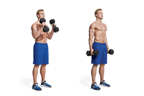 Dumbbell Bicep Curl 