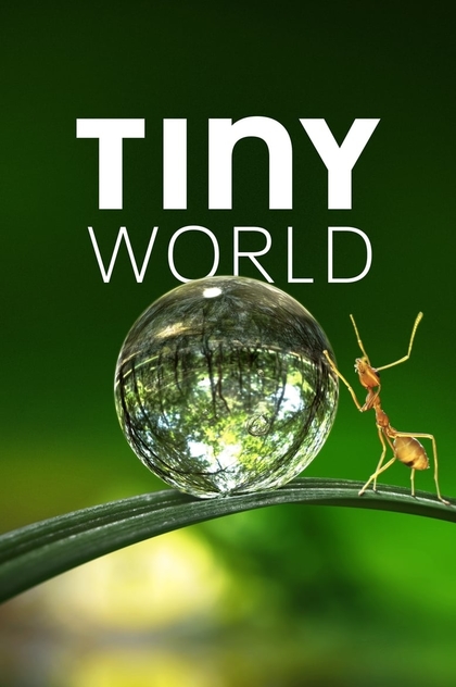 Tiny World | 2020