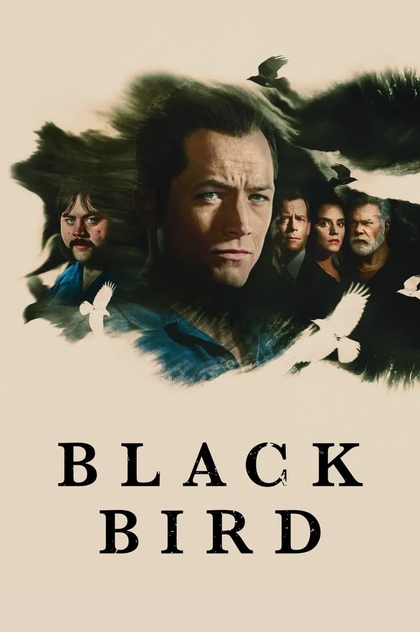 Black Bird | 2022
