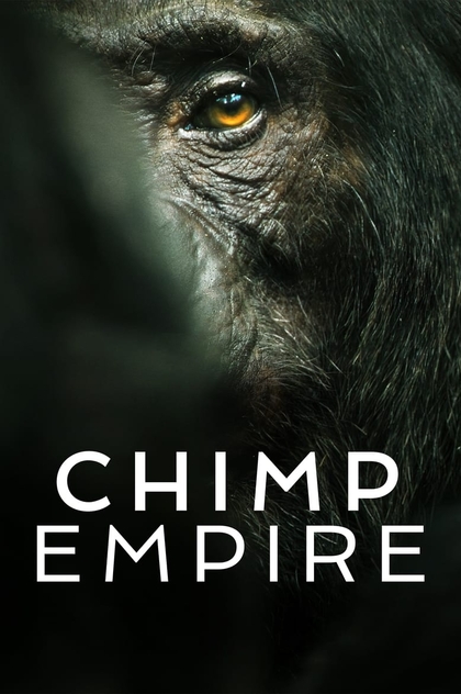 Chimp Empire | 2023