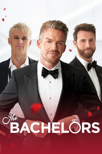 The Bachelor | 2013