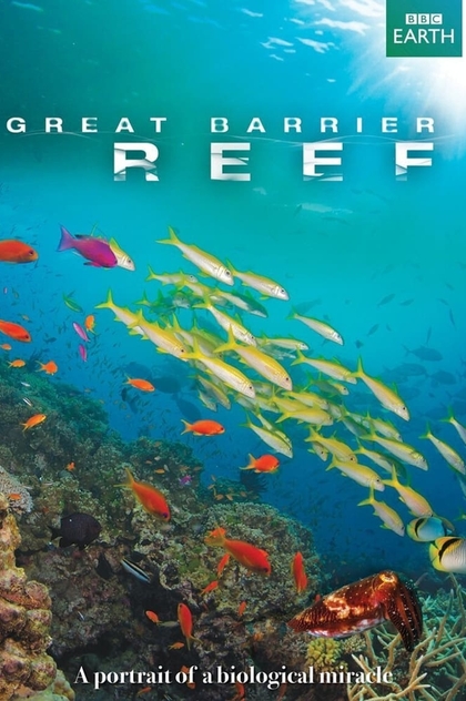 Great Barrier Reef | 2012