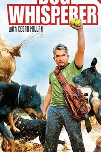 Dog Whisperer with Cesar Millan (TV Series 2004–2016) - IMDb | 