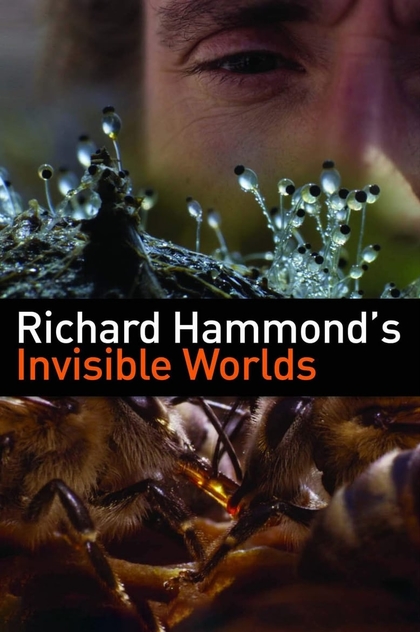 Richard Hammond's Invisible Worlds | 2010