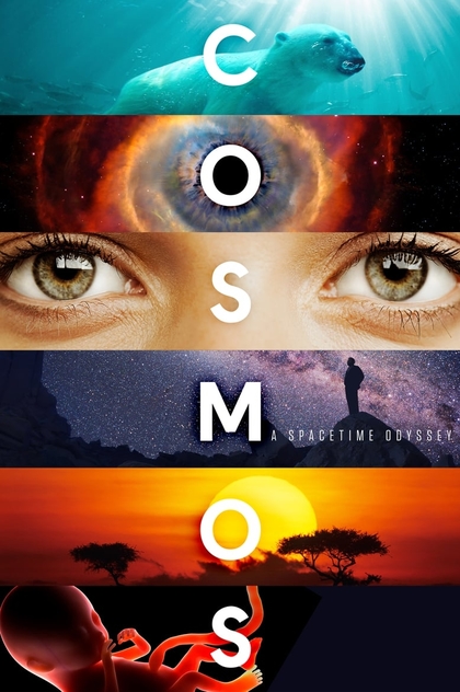 Cosmos | 2014
