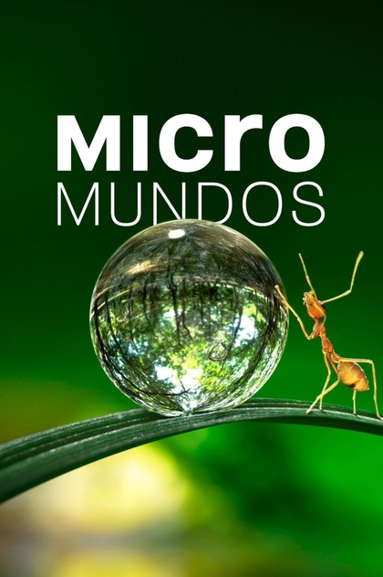 Micromundos | 2020