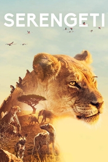 Serengeti | 2019