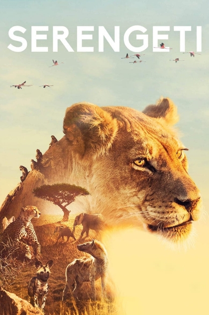 Serengeti | 2019