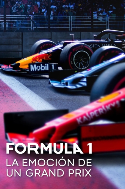 Formula 1: La Emocion De Un Grand Prix | 2019