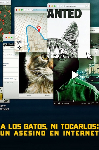 A los gatos, ni tocarlos: Un asesino en Internet | 2019