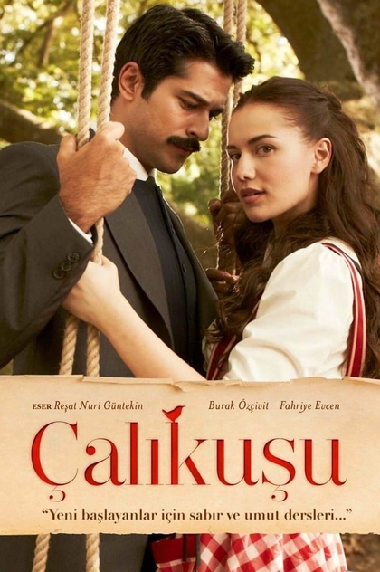 Çalıkuşu | 2013