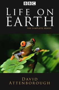 Cериалы от Володимир 