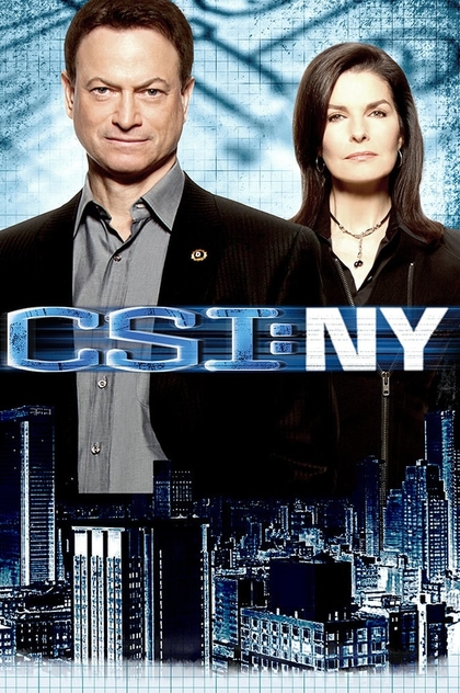 CSI: Место преступления Нью-Йорк | 2004