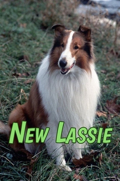The New Lassie | 1989