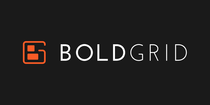 Professional WordPress Websites | Create a Website Fast | BoldGrid
